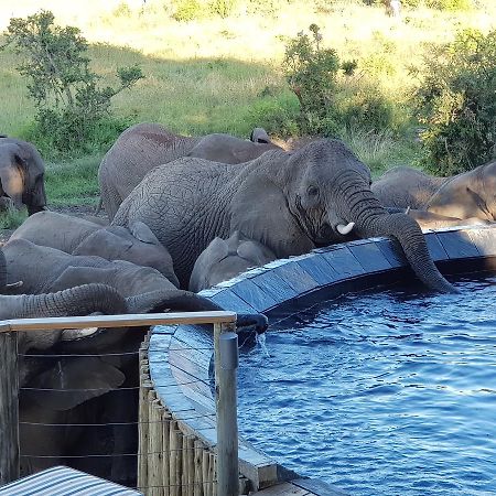Nambiti Plains Lodge เลดี้สมิธ ภายนอก รูปภาพ