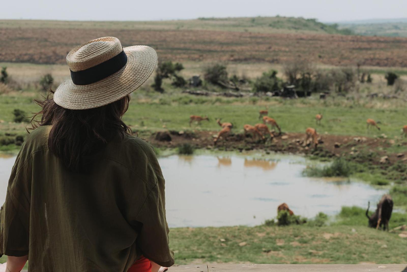 Nambiti Plains Lodge เลดี้สมิธ ภายนอก รูปภาพ