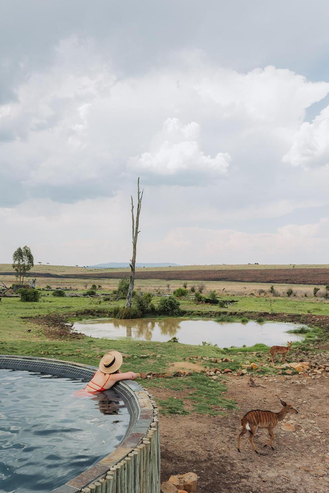 Nambiti Plains Lodge เลดี้สมิธ ภายนอก รูปภาพ