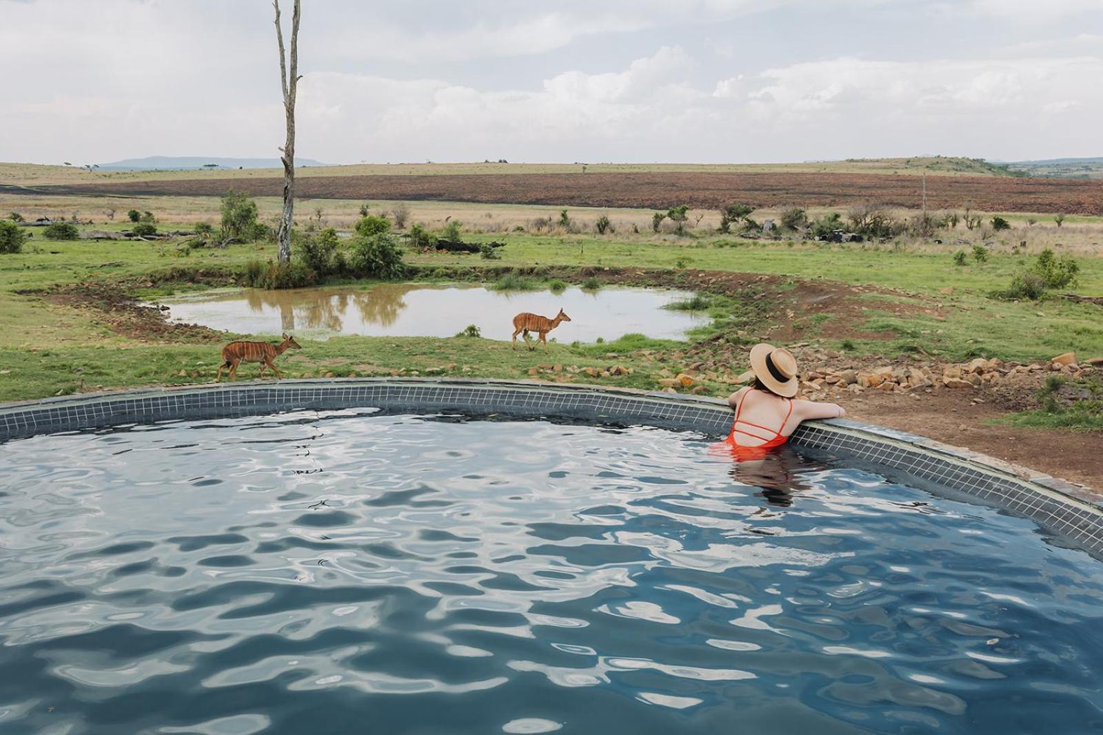 Nambiti Plains Lodge เลดี้สมิธ ภายนอก รูปภาพ
