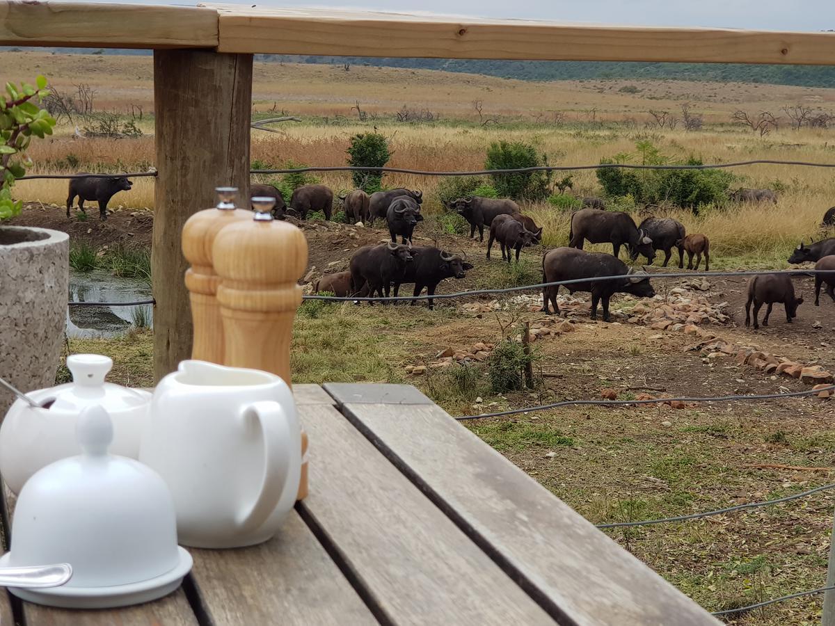 Nambiti Plains Lodge เลดี้สมิธ ภายนอก รูปภาพ