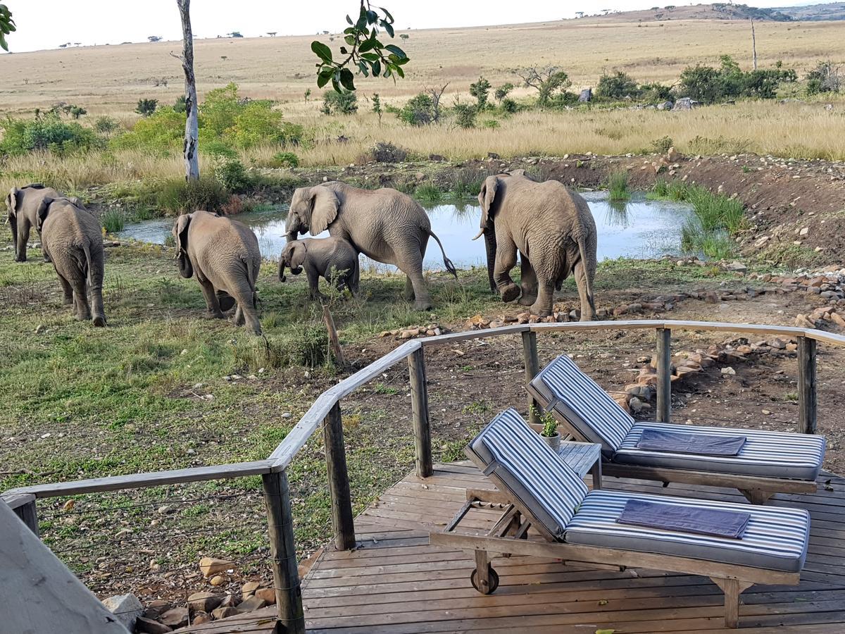 Nambiti Plains Lodge เลดี้สมิธ ภายนอก รูปภาพ