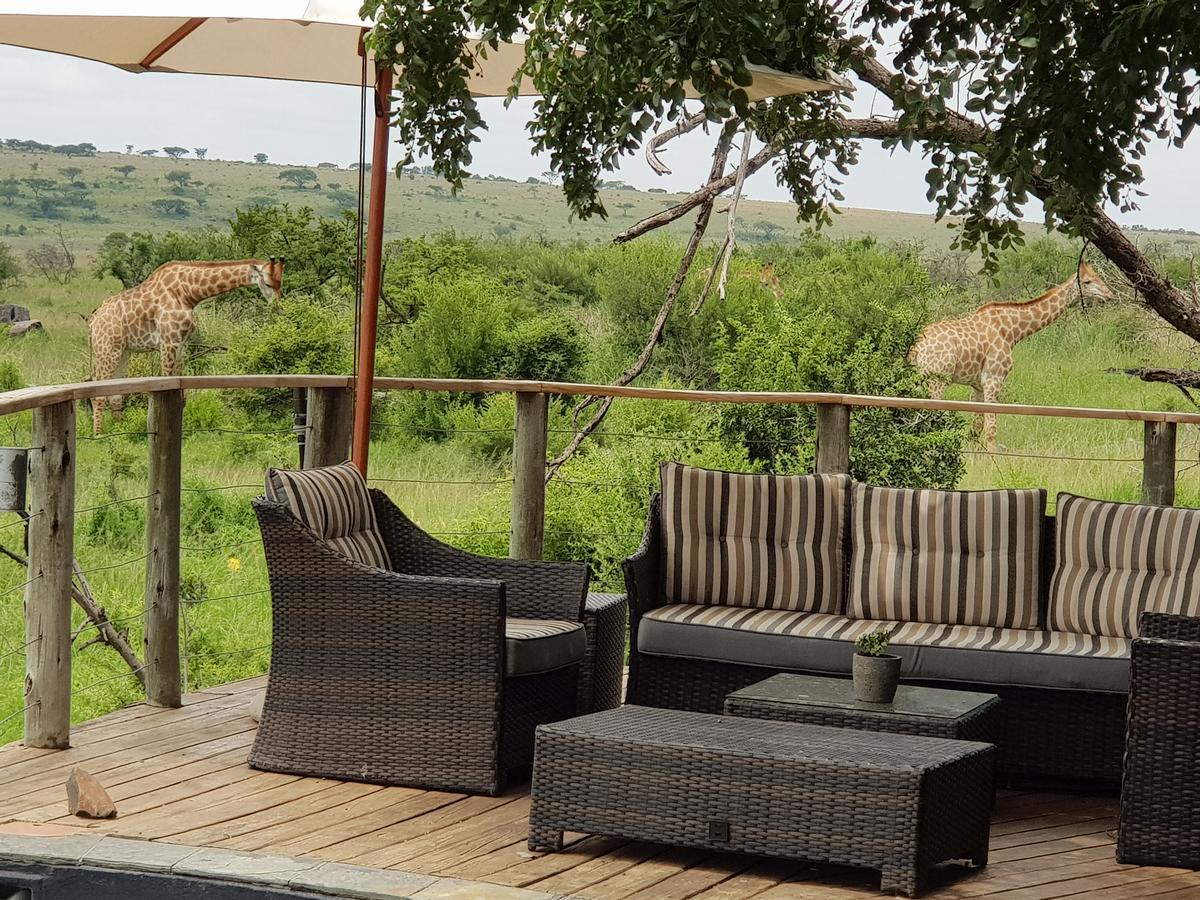 Nambiti Plains Lodge เลดี้สมิธ ภายนอก รูปภาพ