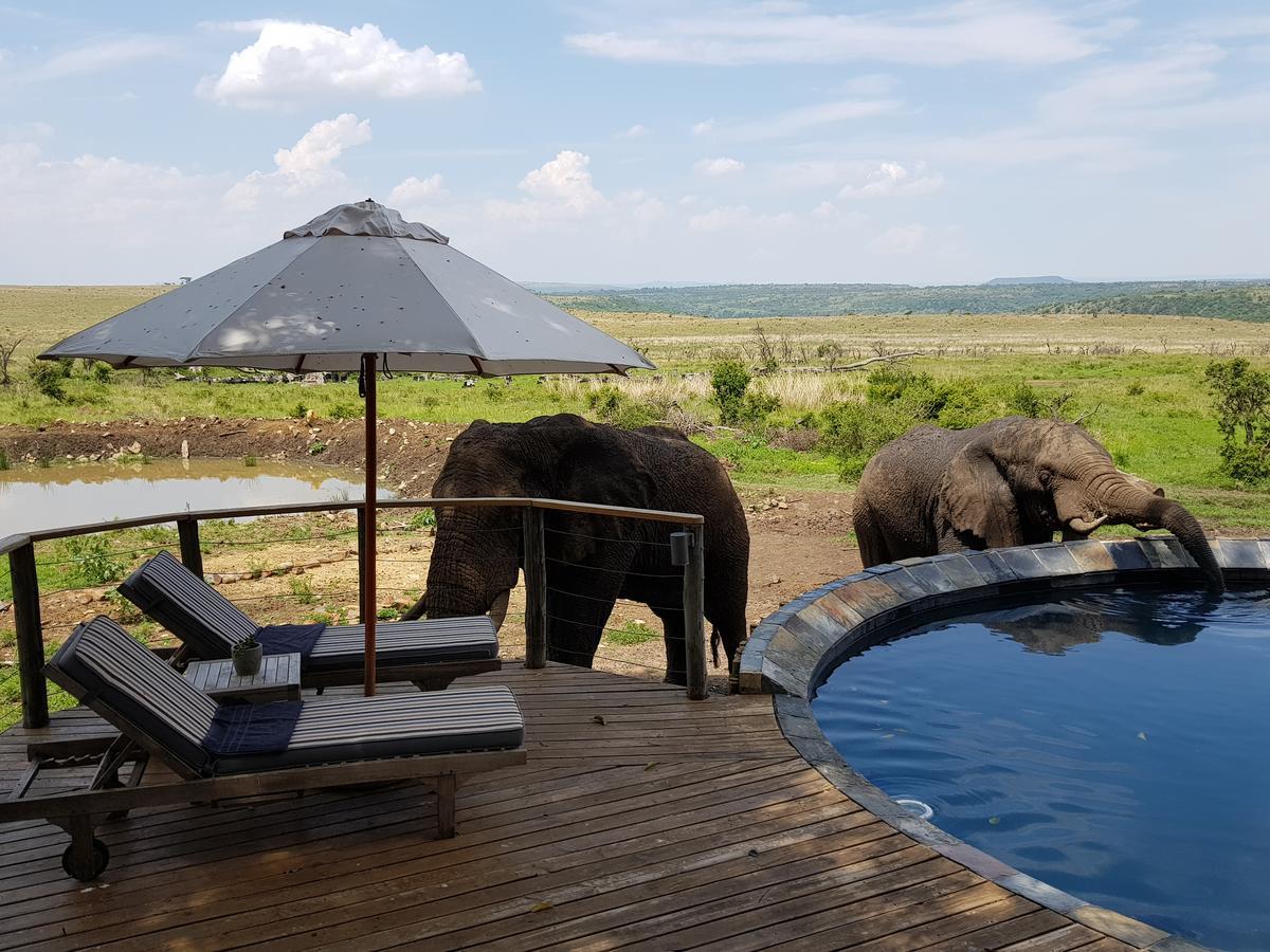 Nambiti Plains Lodge เลดี้สมิธ ภายนอก รูปภาพ